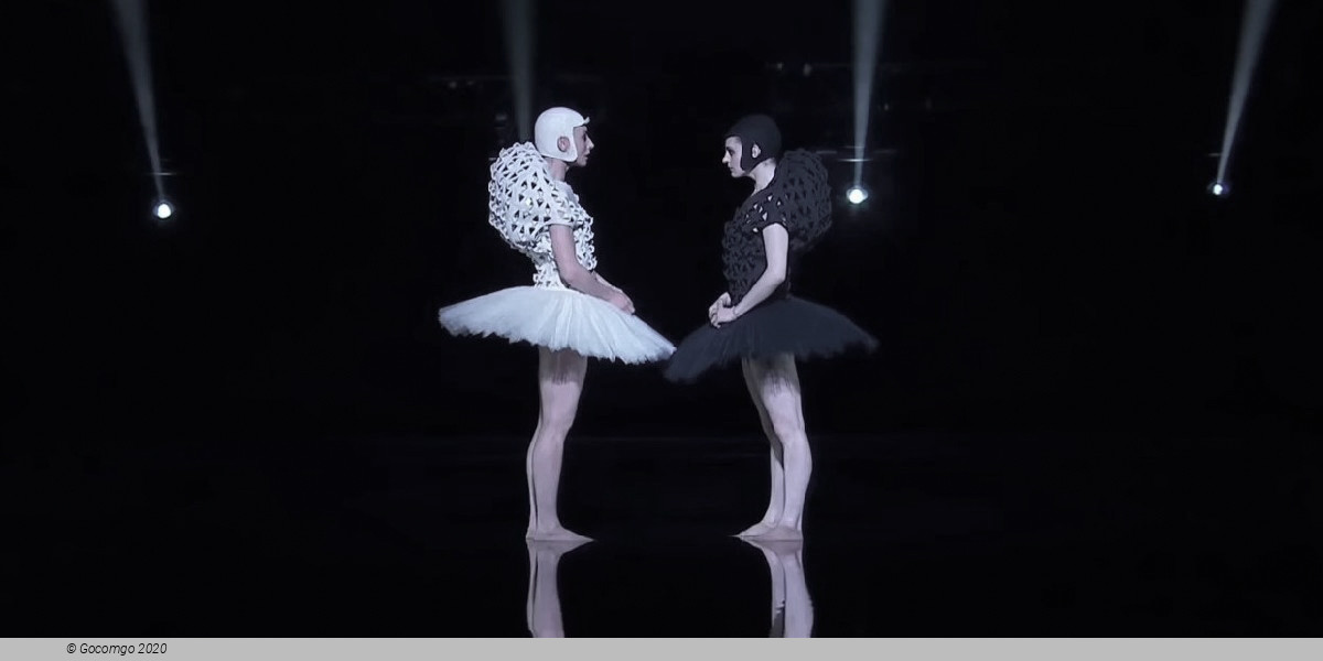 Scene 1 from the modern ballet "A Swan Lake", photo 2