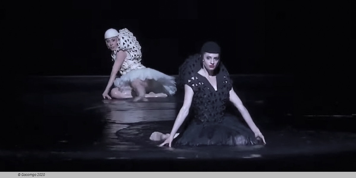 Scene 2 from the modern ballet "A Swan Lake", photo 3