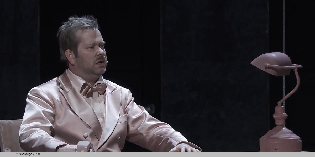 Scene 3 from the modern ballet "A Swan Lake", photo 4