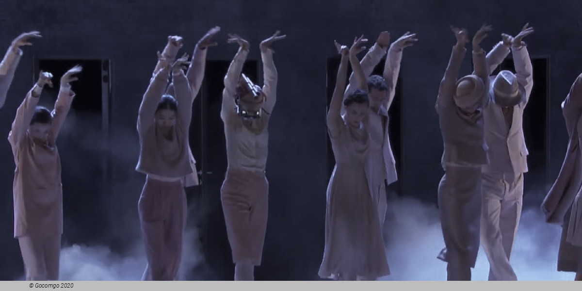 Scene 7 from the modern ballet "A Swan Lake", photo 8