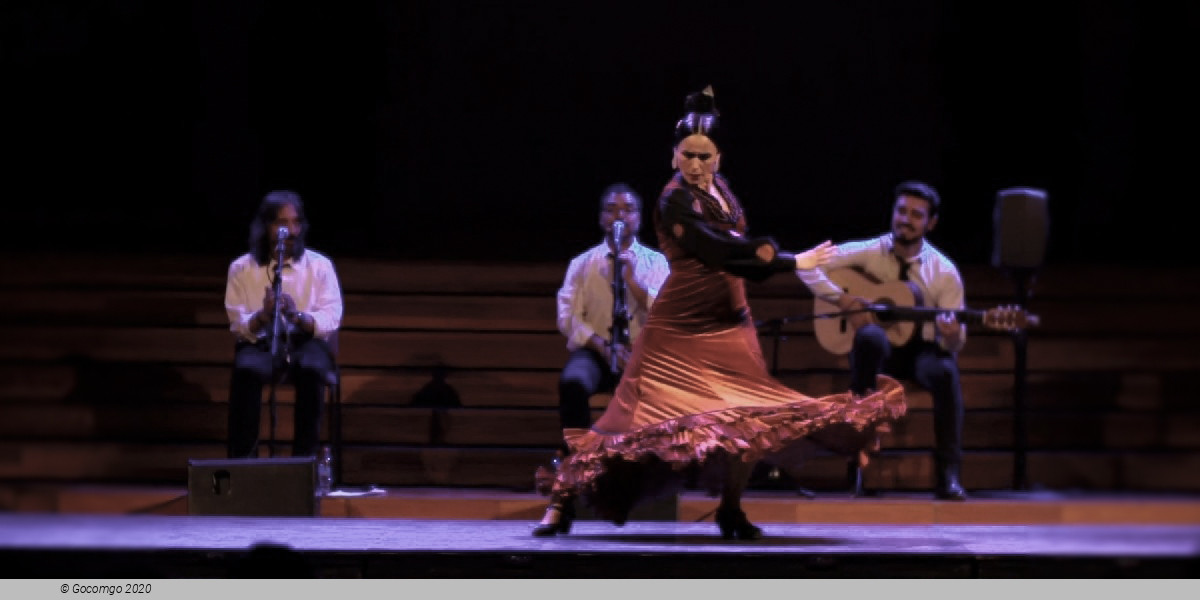 Scene 3 from the show Grand Flamenco Gala, photo 4