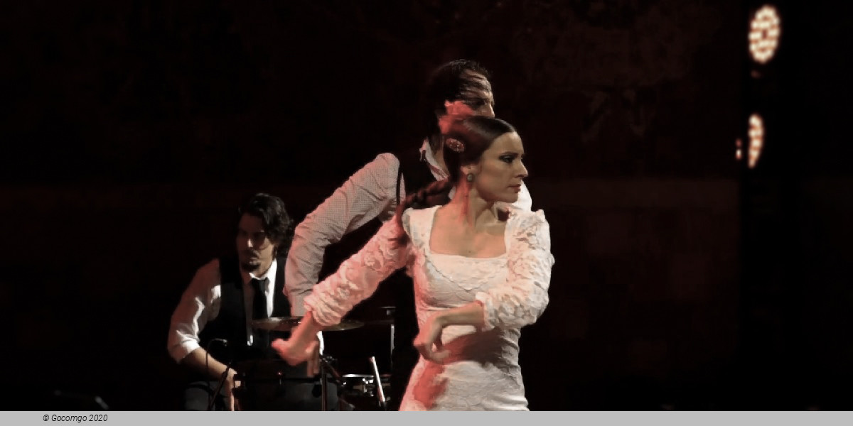 Scene 4 from the show Grand Flamenco Gala, photo 5