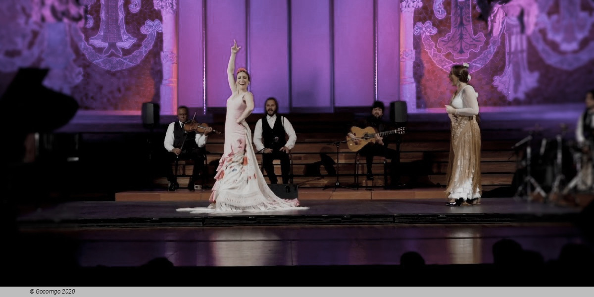 Scene 5 from the show Grand Flamenco Gala, photo 1