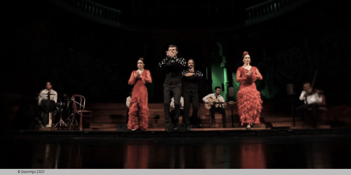 Scene 8 from the show Grand Flamenco Gala, photo 8