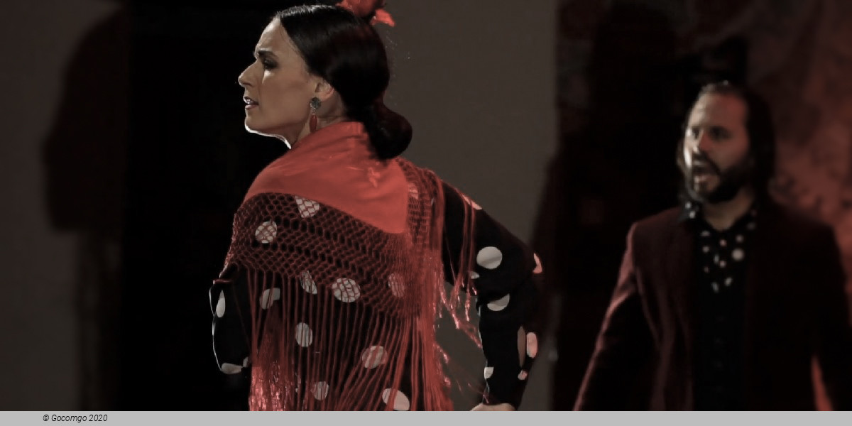 Scene 9 from the show Grand Flamenco Gala, photo 9