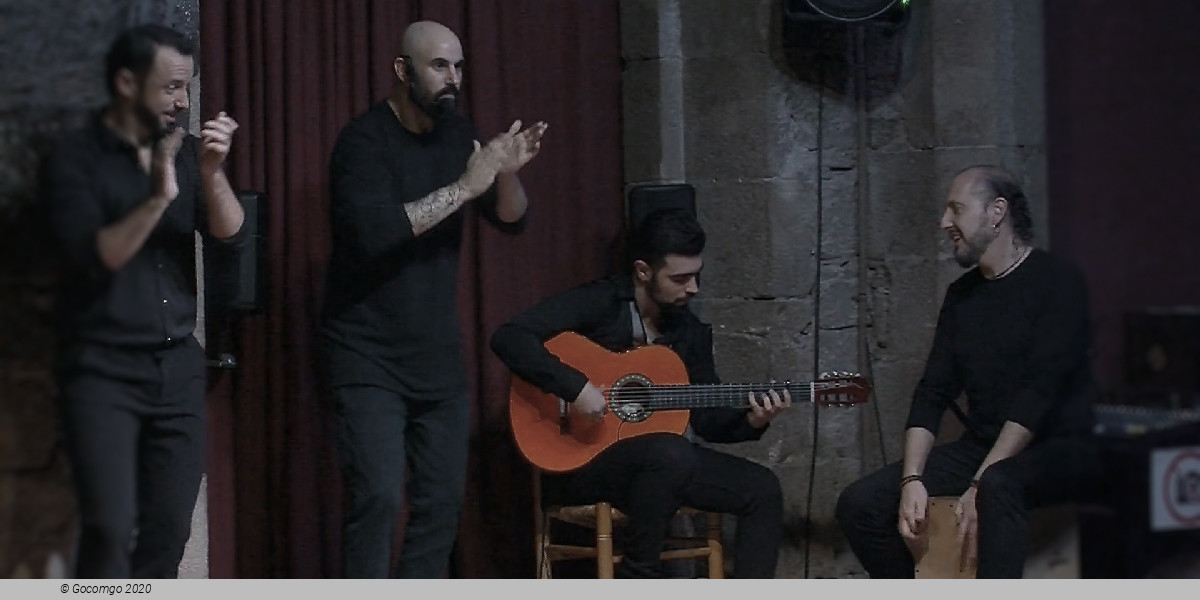 Scene 3 from the Flamenco Show in Dalmases Palace, photo 3