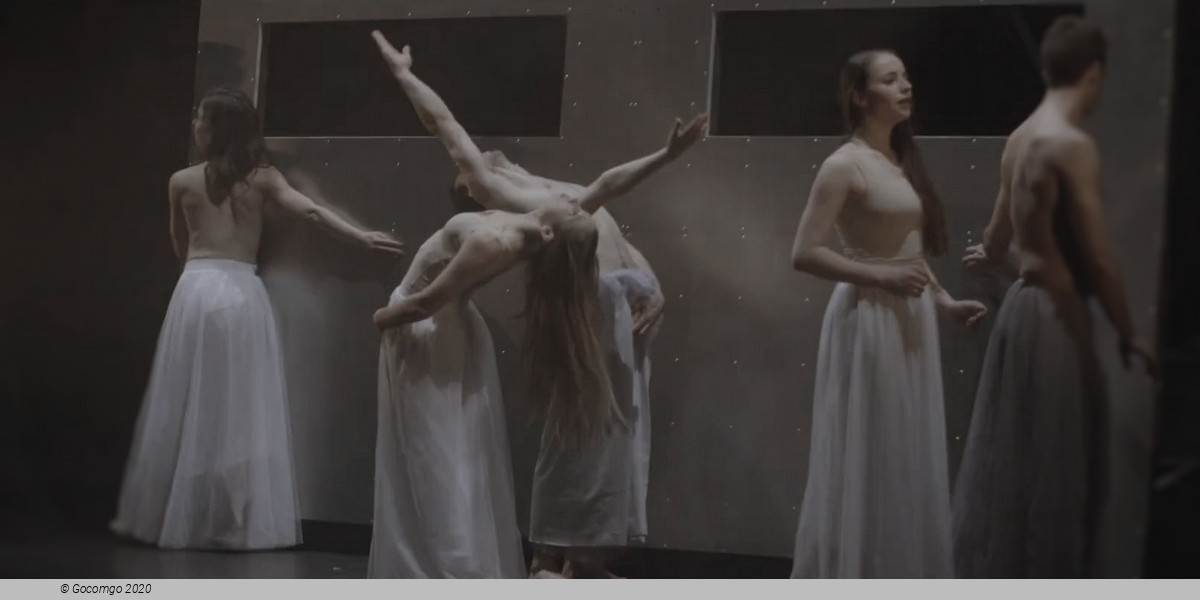 MDVDanza, photo 1