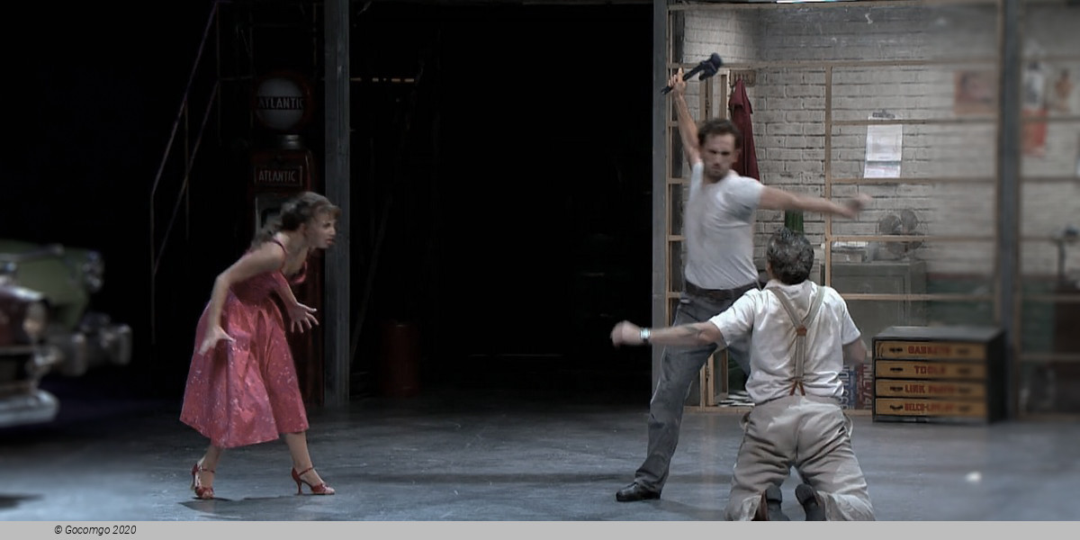 Scene 8 from the modern ballet "The Car Man", photo 9