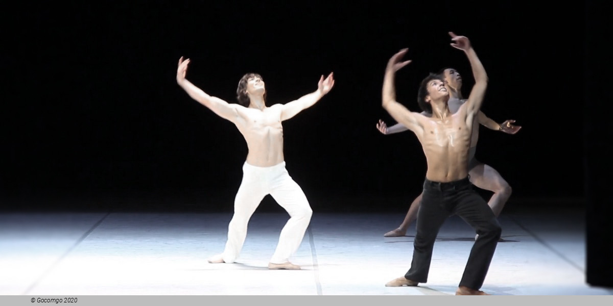 Scene 3 from the modern ballet "Bernstein Dances", photo 3