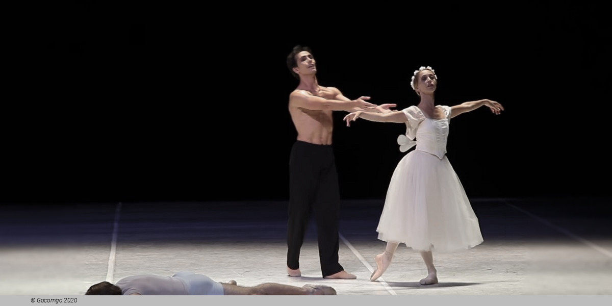 Scene 3 from the modern ballet "Nijinsky"