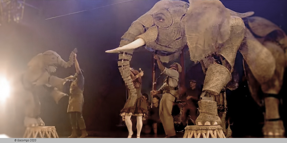 Scene 2 from the show "Circus 1903", photo 3