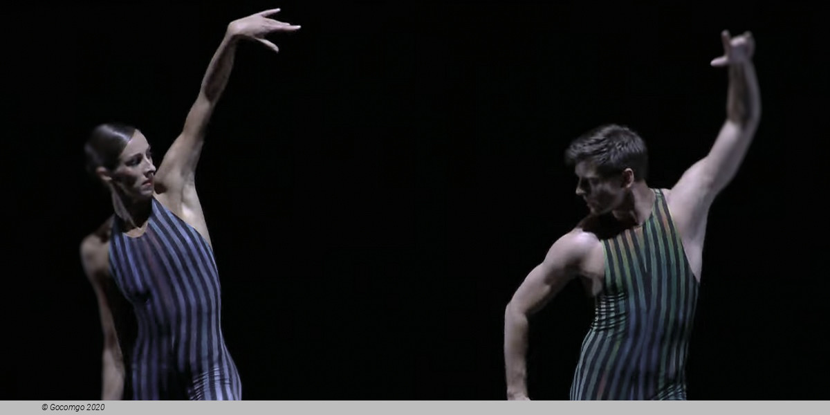 Scene 1 from the modern ballet "Concertante"