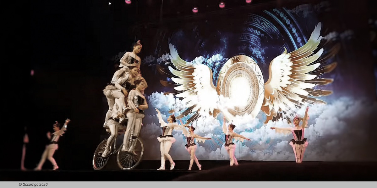 Scene 1 from the Flying Acrobatics Show, photo 1