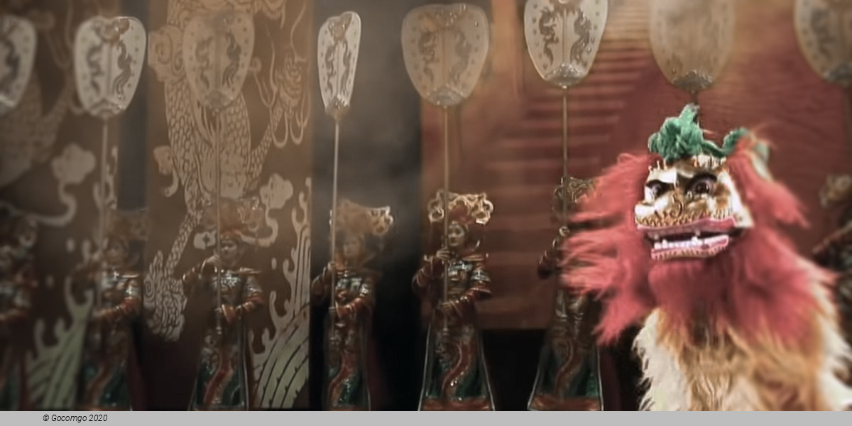 Scene 2 from the Flying Acrobatics Show, photo 2