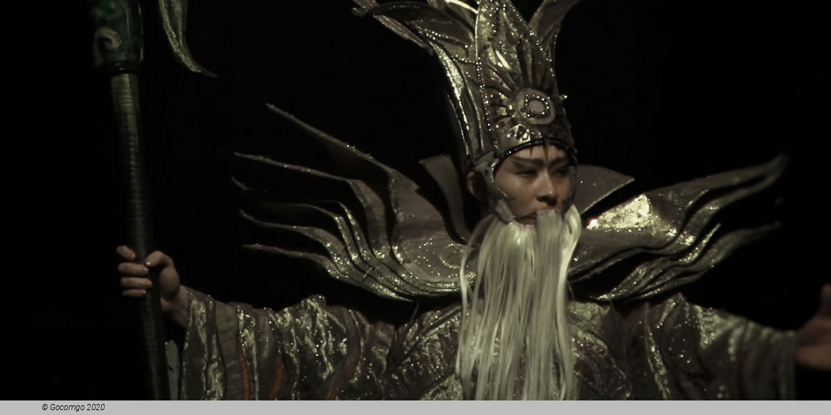 Scene 4 from the "Star Dream" Acrobatic Show, photo 4