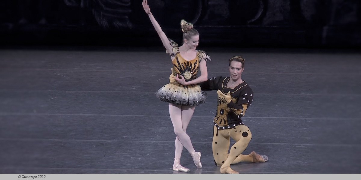 Danses Concertantes / Different Drummer / Requiem, photo 4