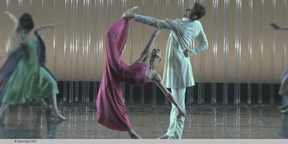 The Seagull. A Ballet Story, photo 1