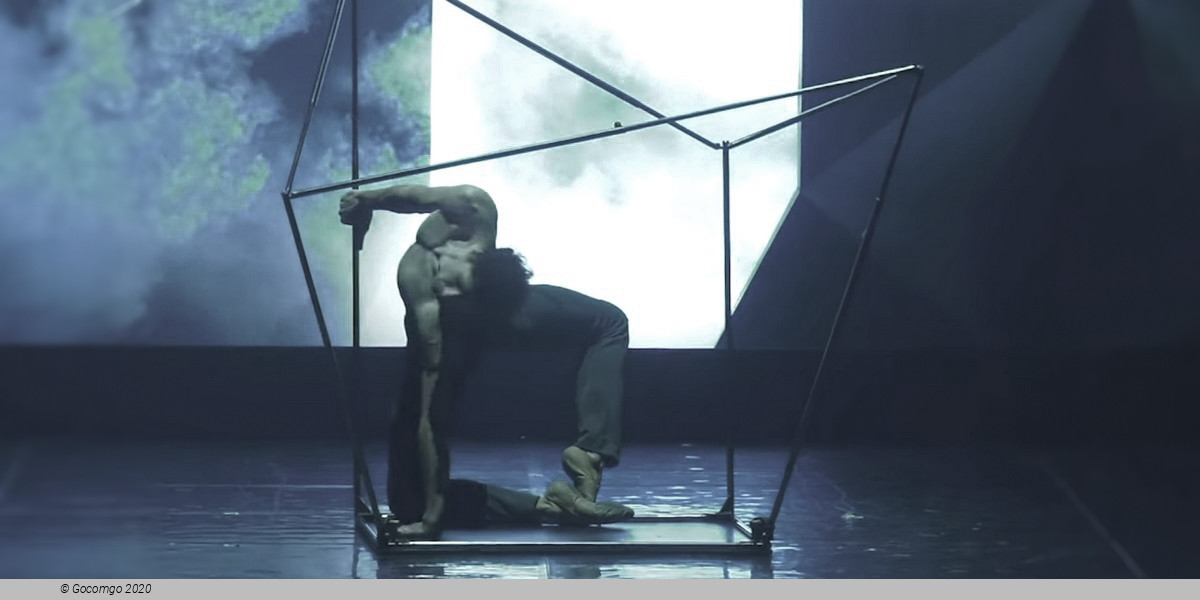 The Seagull. A Ballet Story, photo 7