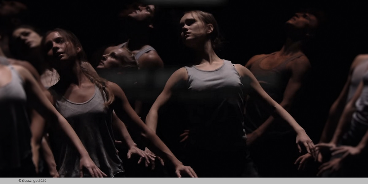 Light of Passage, photo 3