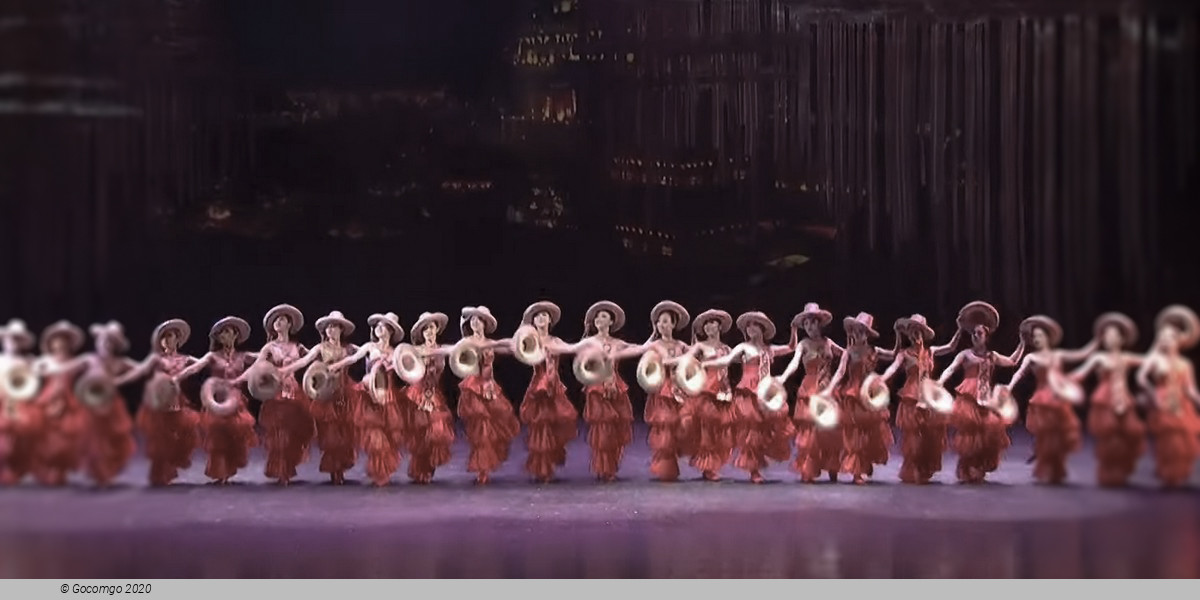 Swan Lake - an Acrobatic Ballet, photo 4