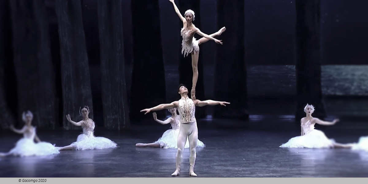 Swan Lake - an Acrobatic Ballet, photo 9