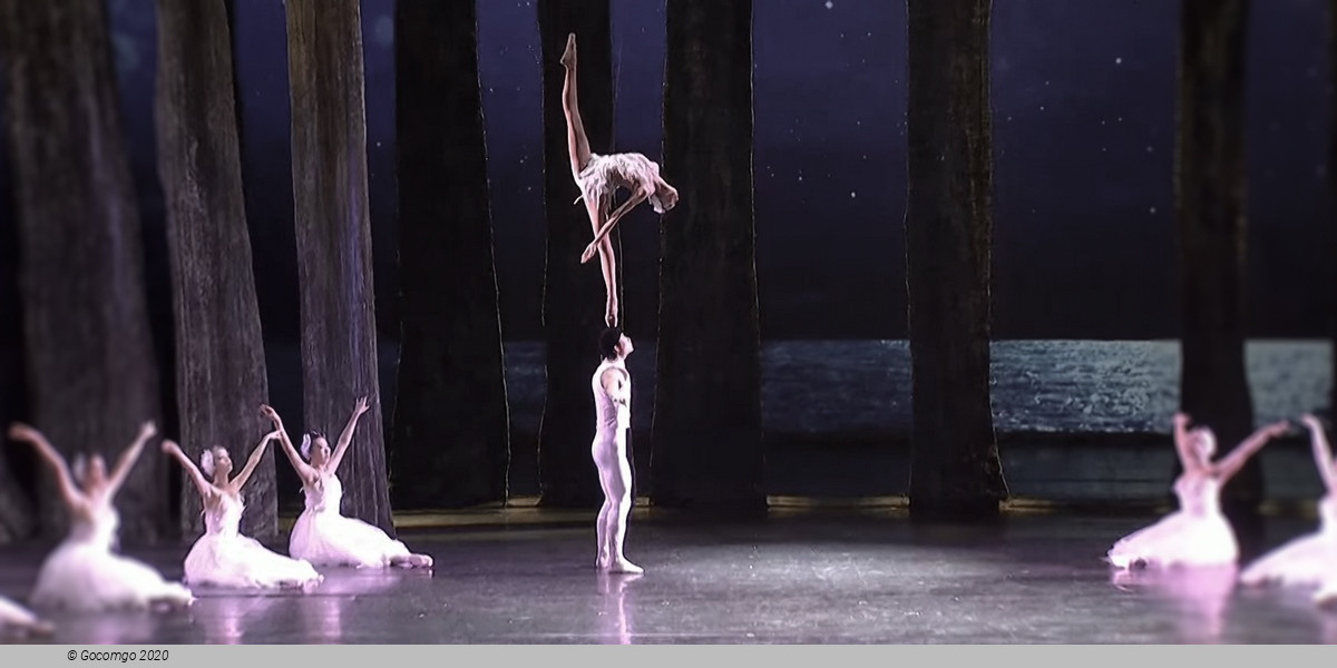 Swan Lake - an Acrobatic Ballet, photo 10