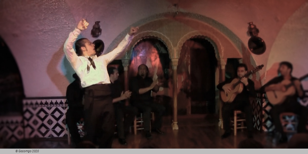 Flamenco in Barcelona Show - New Year' s Eve Gala