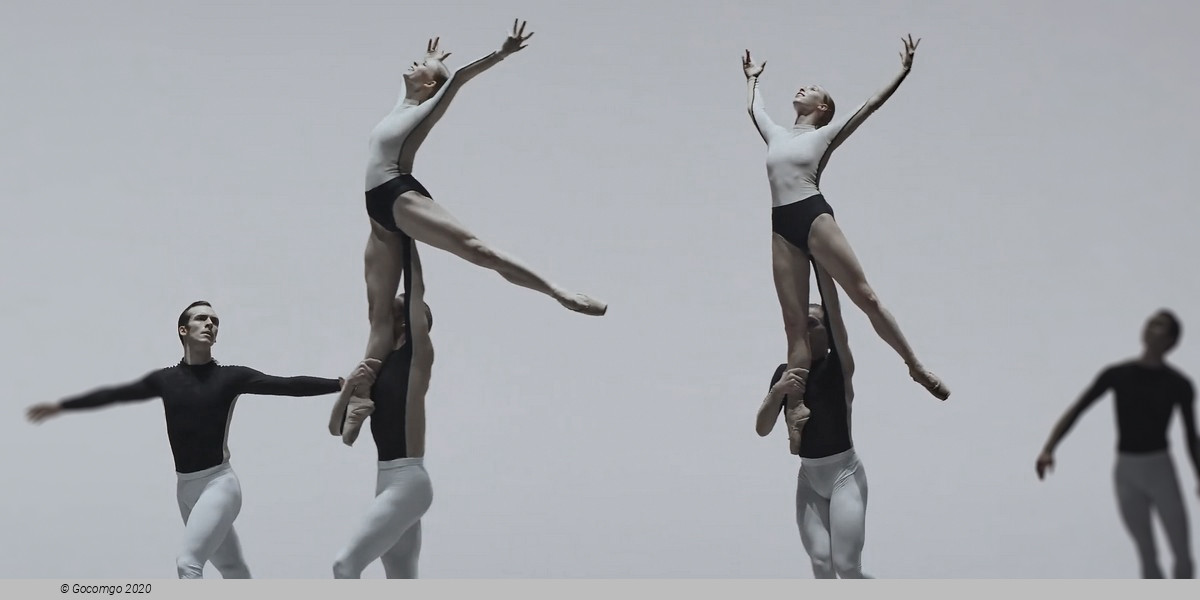 An evening of modern ballet "Contrasts": O złożony / O composite. If you couldn’t see me. Anima Animus. Drift Wood, photo 5