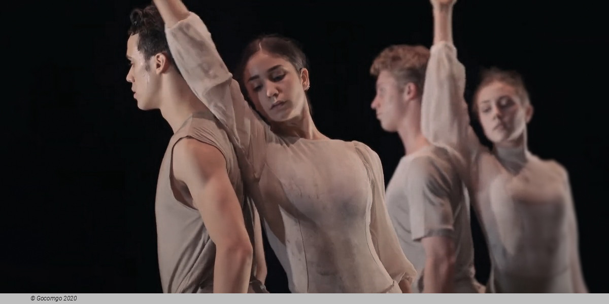 Jocasta’s Line: Oedipus Rex. Antigone, photo 2