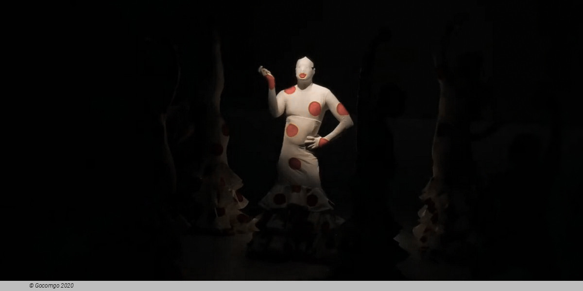 Car/men - Compagnie Chicos Mambo, photo 2