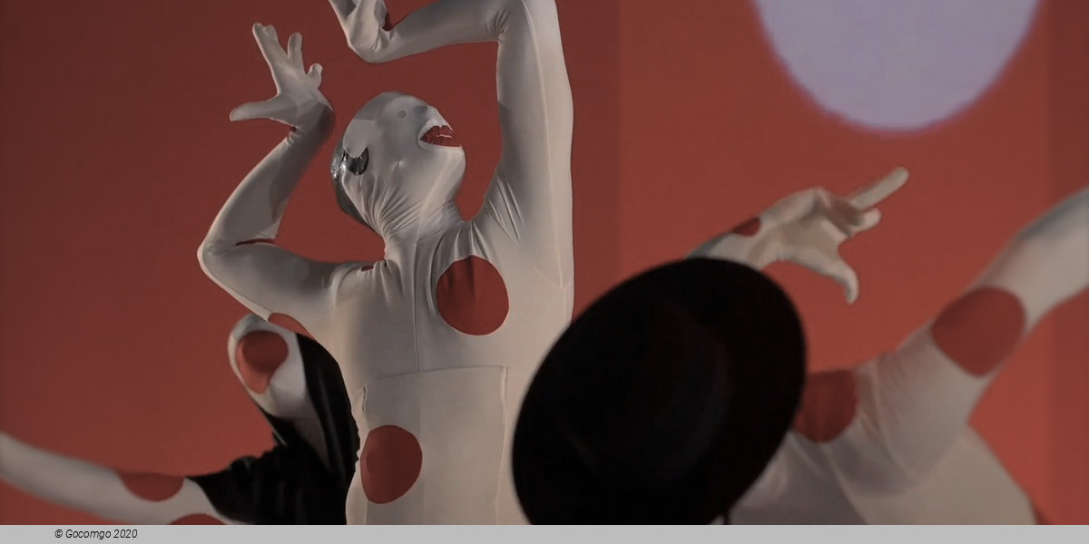 Car/men - Compagnie Chicos Mambo, photo 1