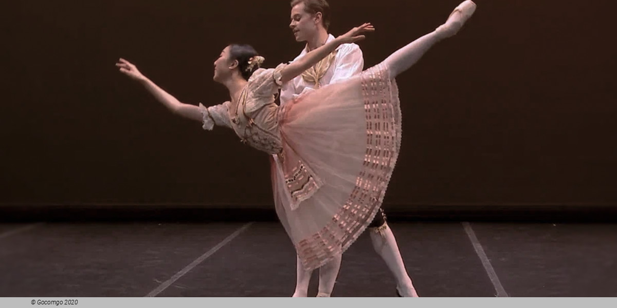 Flower Festival in Genzano Pas de Deux, photo 10