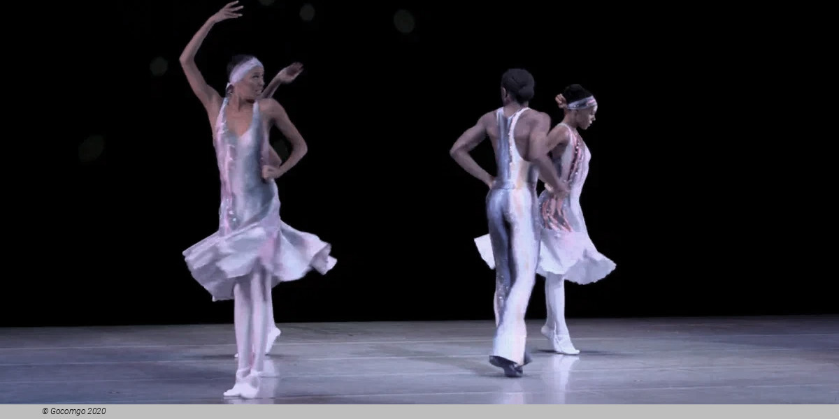 Night Creature, photo 3