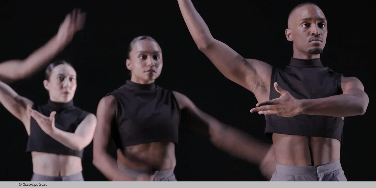 Down the Rabbit Hole, photo 8