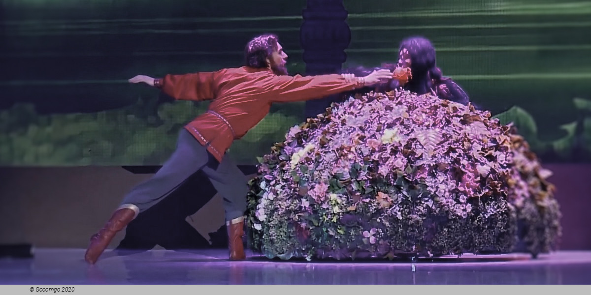 The Scarlet Flower, photo 5