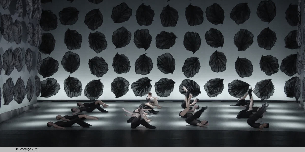 Malandain Ballet Biarritz: L'Amour Sorcier et Don Quichotte, photo 3