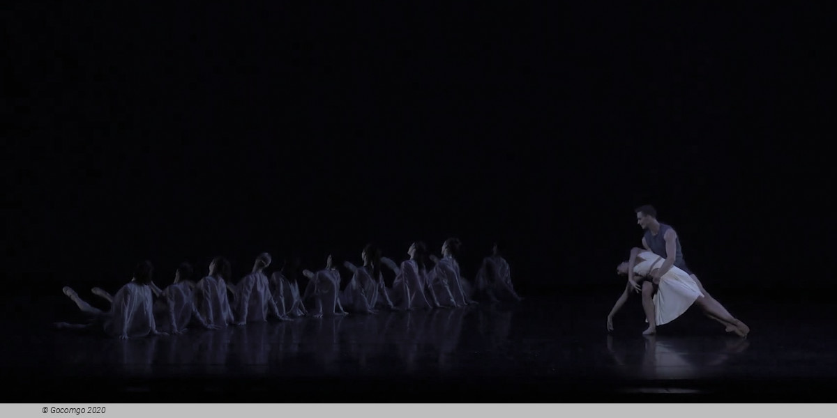 An evening of modern ballets "See the music, hear the dance": Serenade, Against the Tide, Peace of La Jolla, photo 3