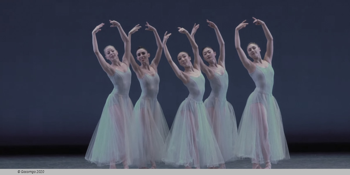 An evening of modern ballets "See the music, hear the dance": Serenade, Against the Tide, Peace of La Jolla, photo 5