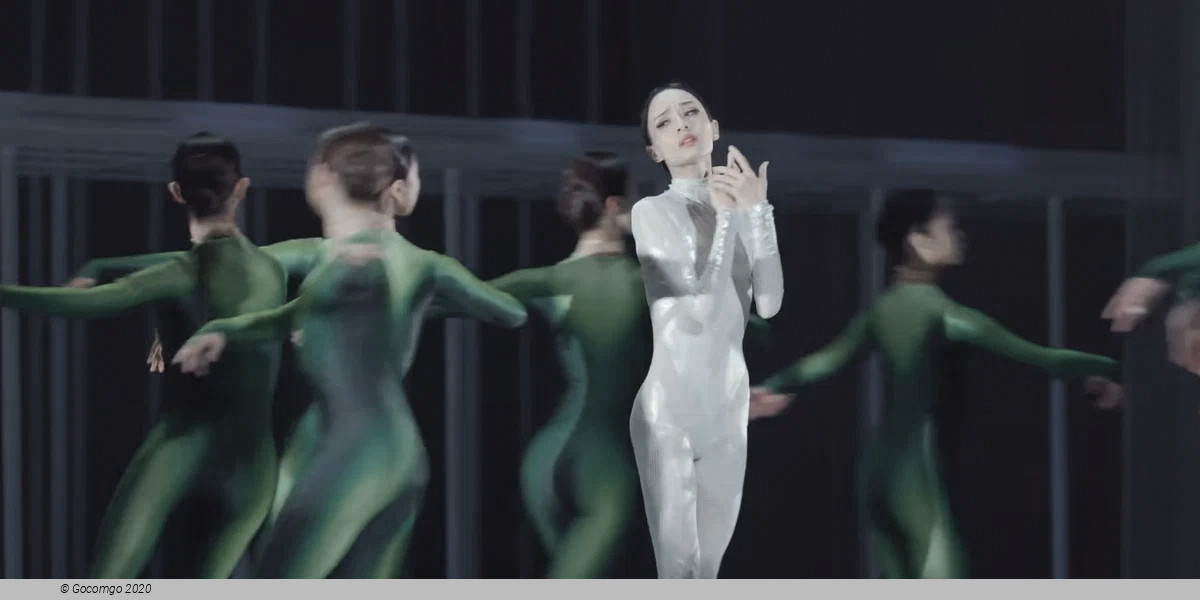 An evening of modern ballets "Background"
