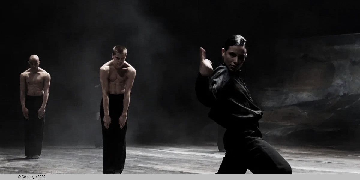 Alvin Ailey American Dance Theater, photo 3