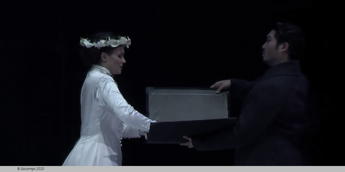 Lucia di Lammermoor, photo 3