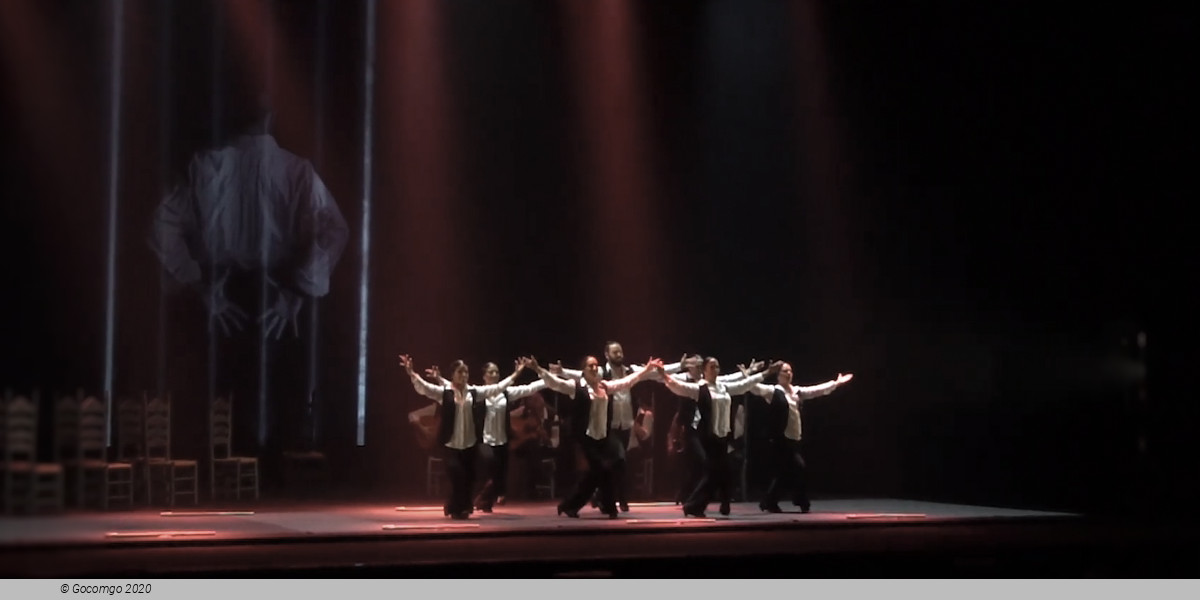 Sara Baras Flamenco Ballet Company Gala Vuela, photo 3