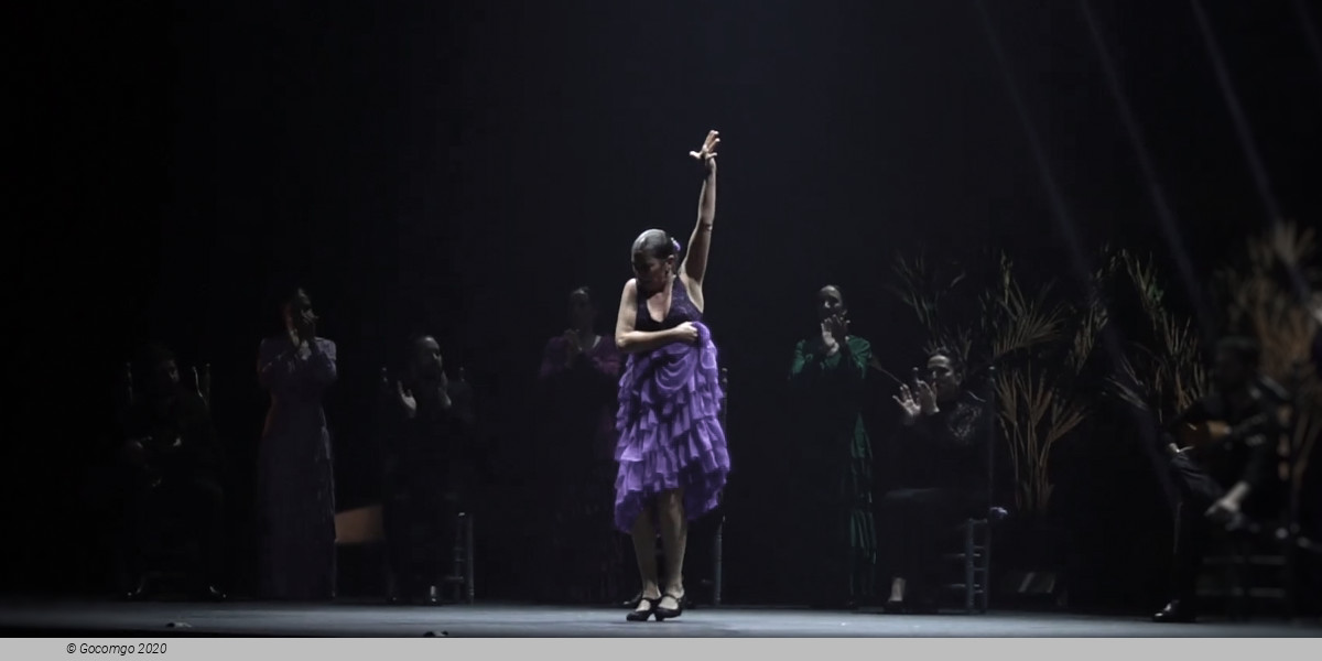 Sara Baras Flamenco Ballet Company Gala Vuela, photo 5