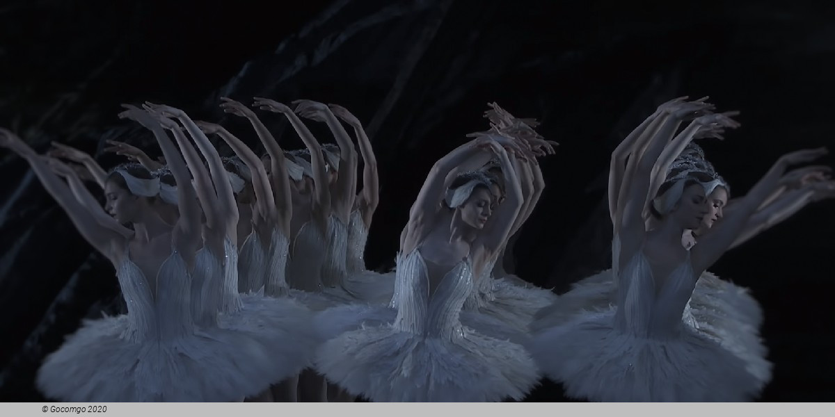 Swan Lake