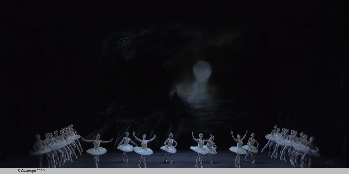 Swan Lake