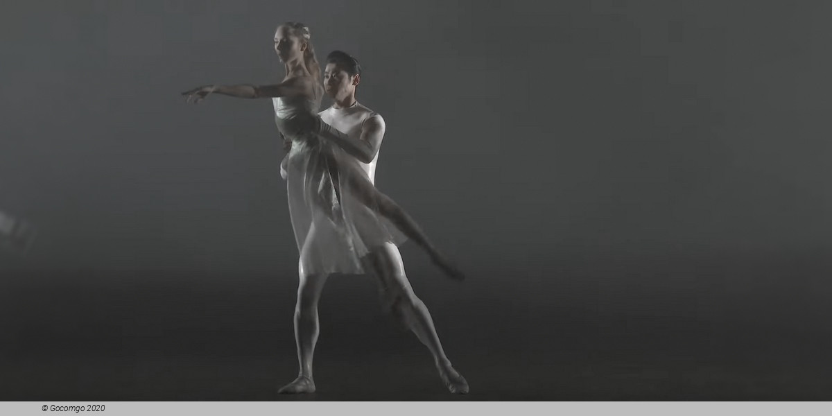 The Dante Project, photo 4