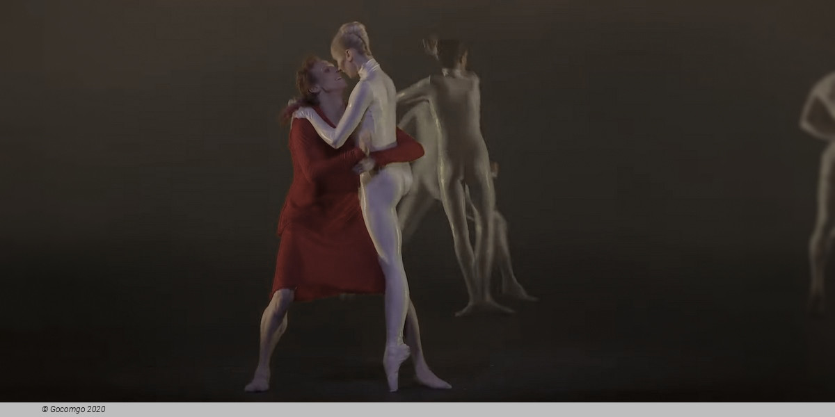 The Dante Project, photo 6