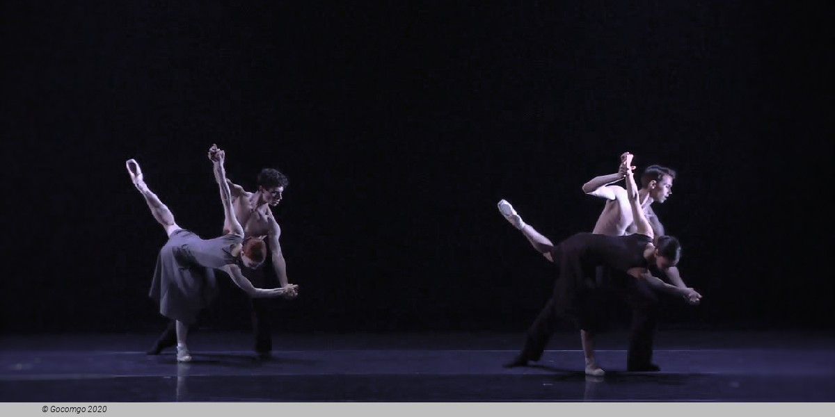 New English Ballet Theatre, photo 2