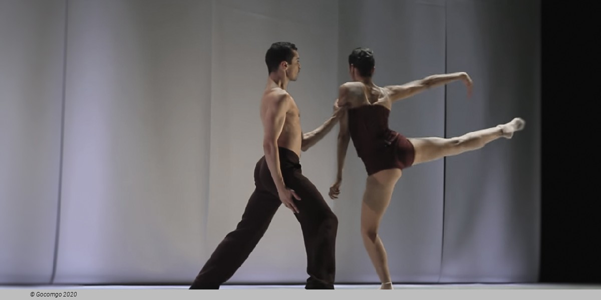 NNB2: Vivace, photo 4