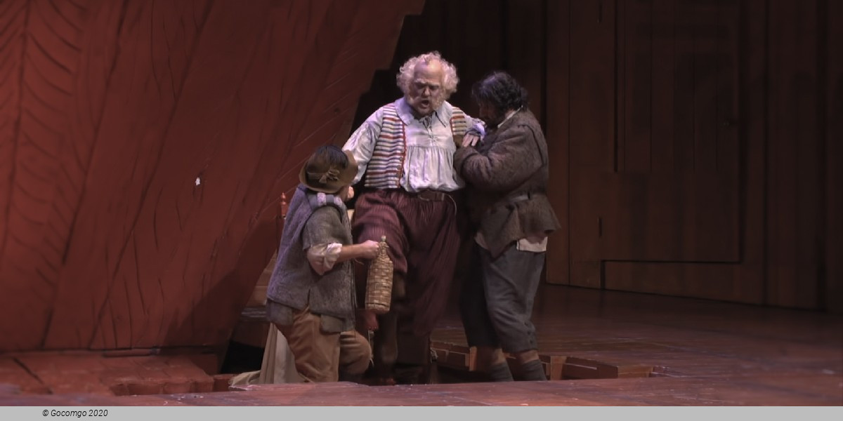 The Academy of opera/KHIO: Falstaff, photo 2